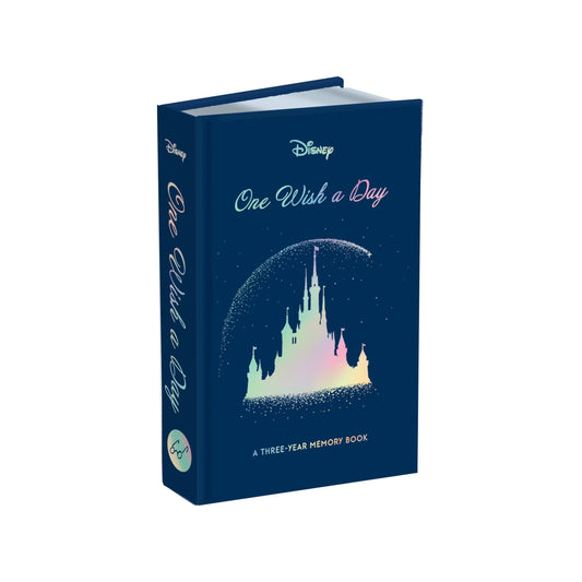 Disney One Wish a Day