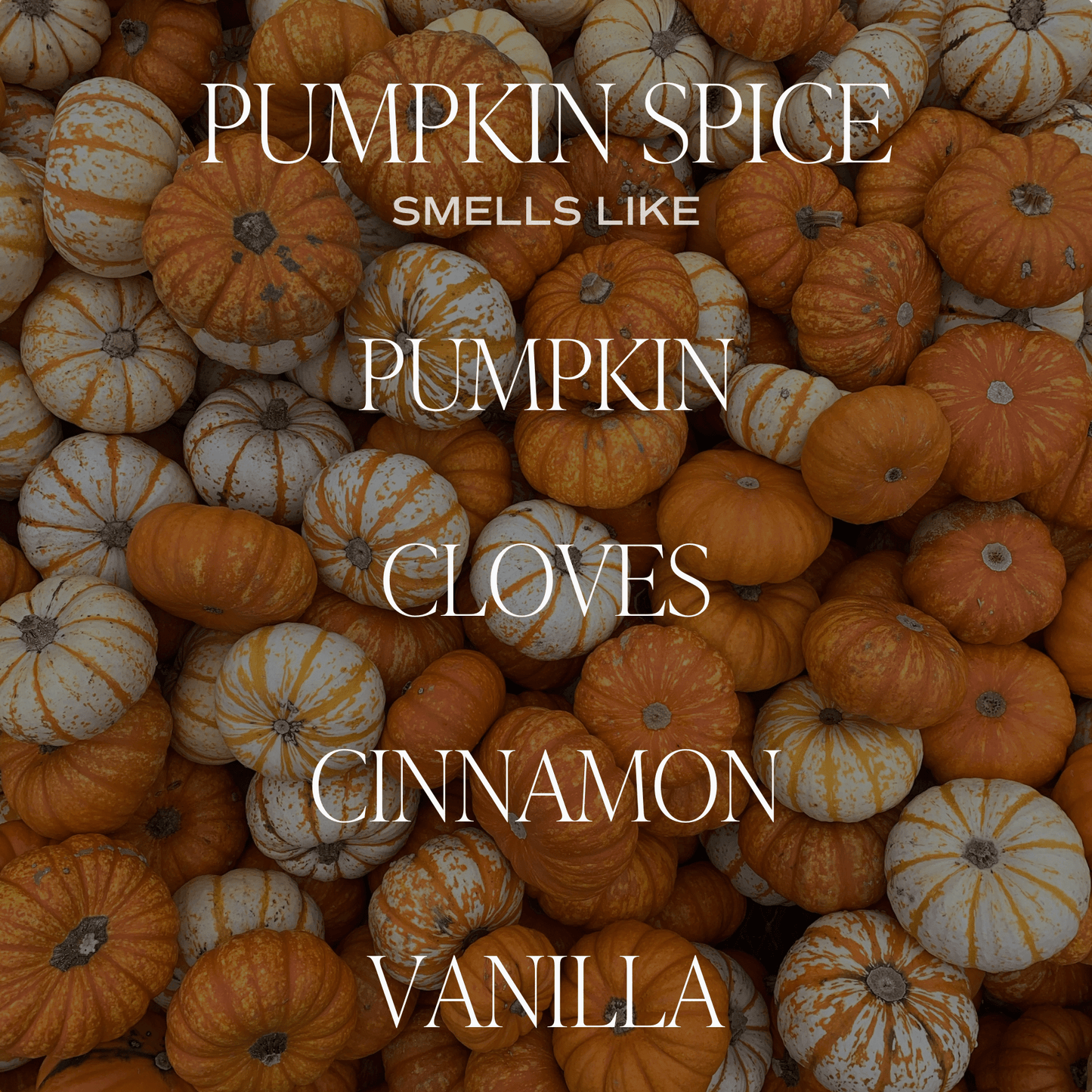 Pumpkin Spice Reed Diffuser - Fall Decor & Gifts