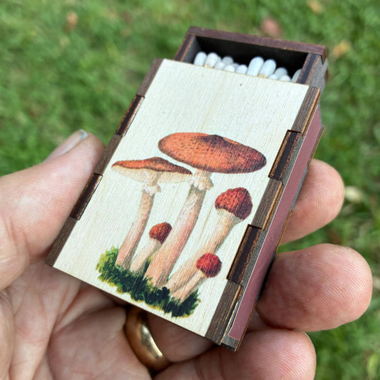Matches • Mushroom Cluster Wooden Matchboxes