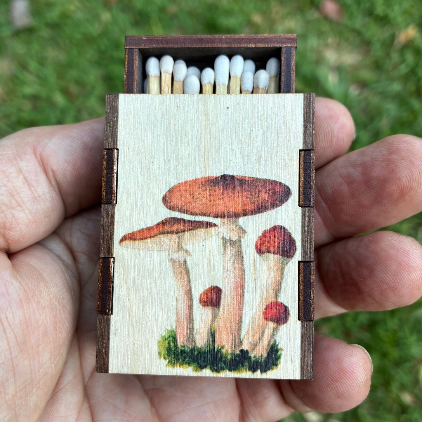 Matches • Mushroom Cluster Wooden Matchboxes