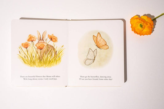 Our Little Adventures Board Book Box Set for Kids