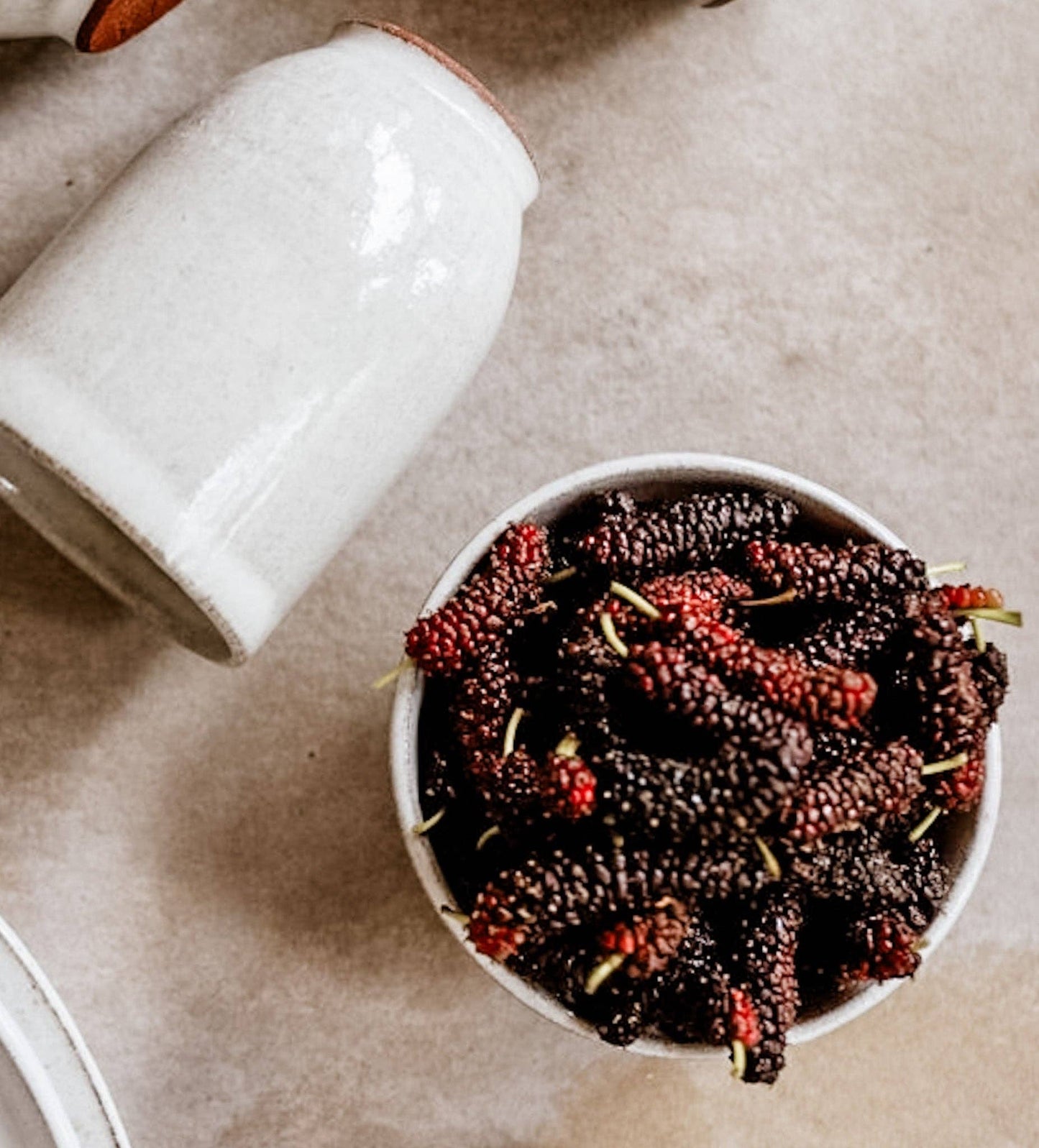 Daily Ritual Bowl - Small: The Ojai Collection