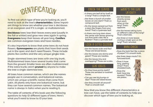 Kid’s Guide to Backyard Trees