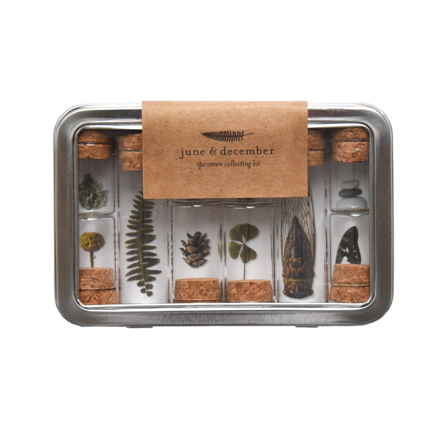 June & December - Specimen Collecting Kit