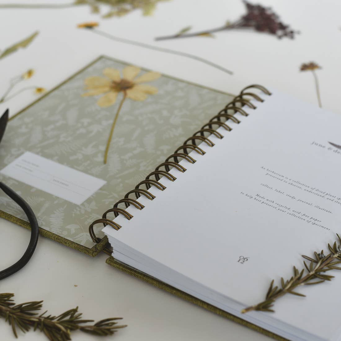 Herbarium Journal