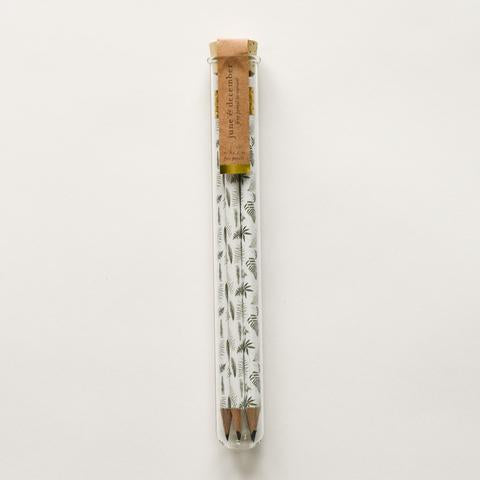 Fern Pencil Terrarium: Set of 5 Pencils