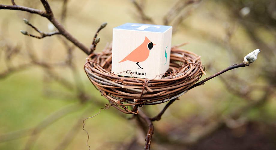 Bird Blocks - Uncle Goose