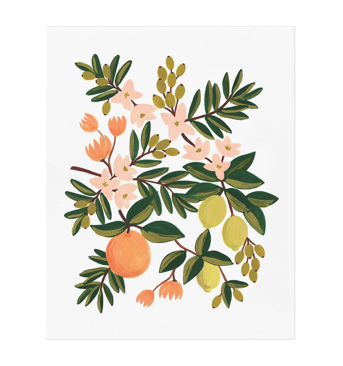 Citrus Floral Art Print