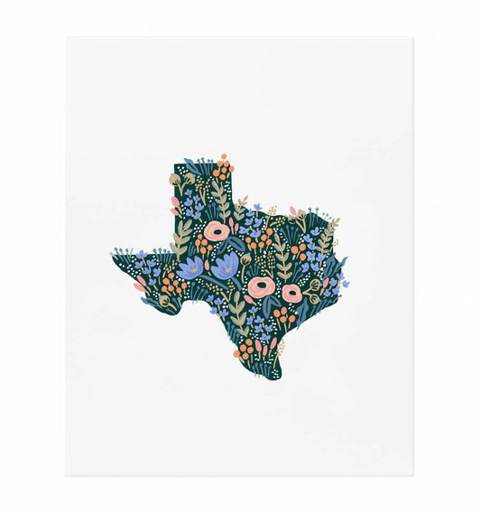 Texas Wildflowers Art Print