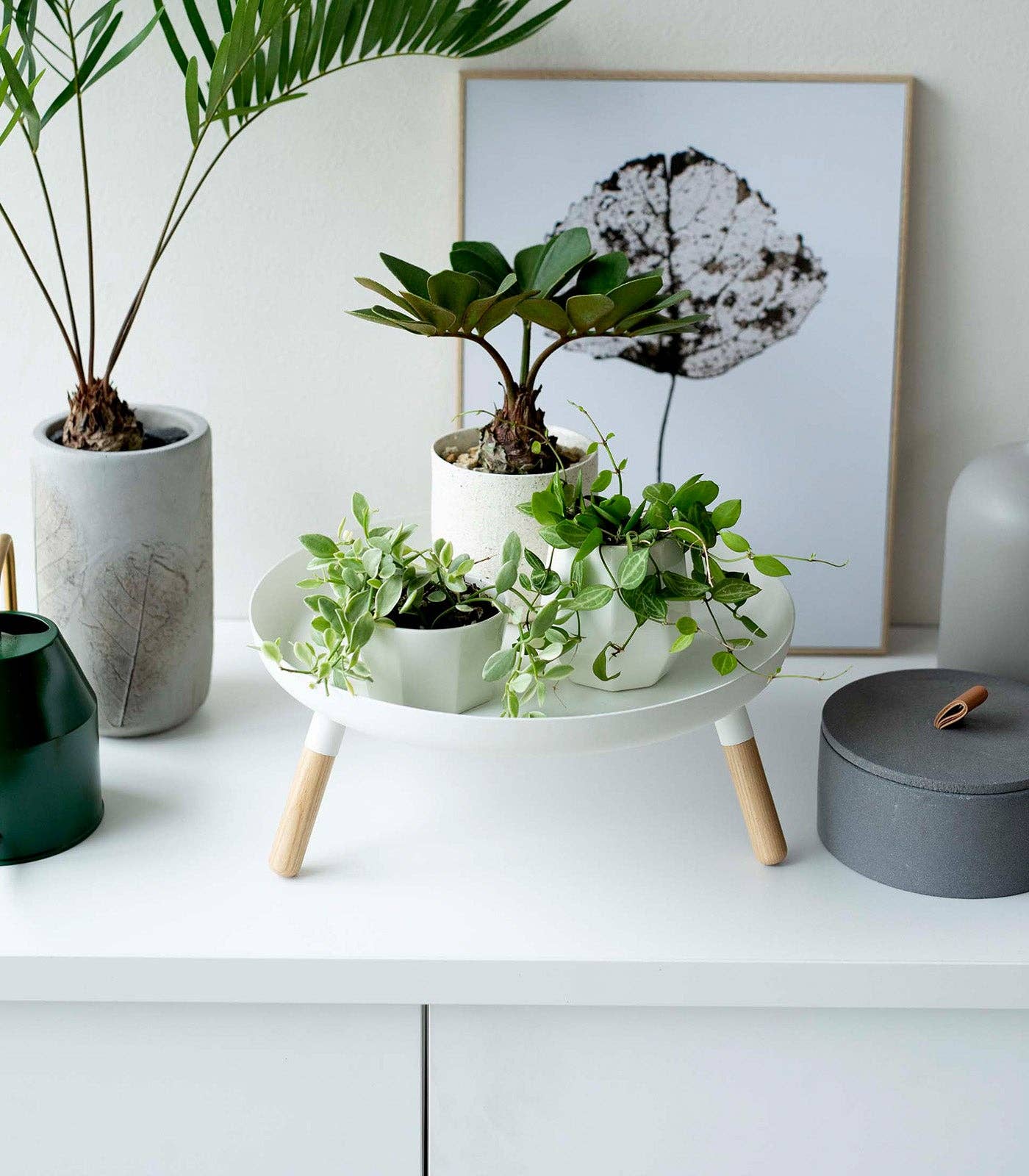 Countertop Pedestal Tray - Steel + Wood: Black