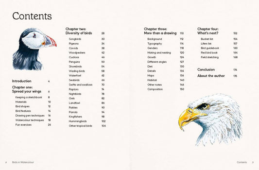 Birds in Watercolour