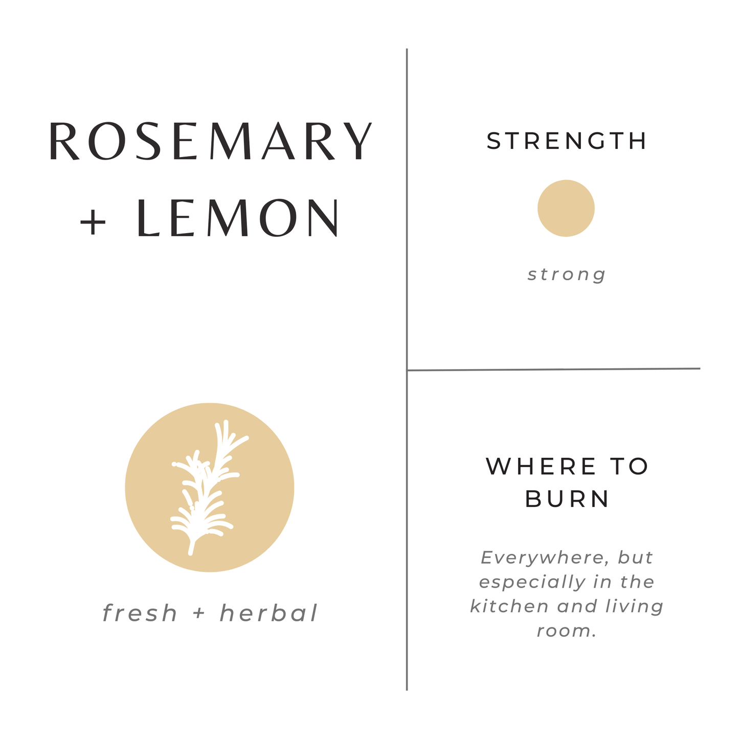Mini Soy Candles - 2 oz: Orange + Clove