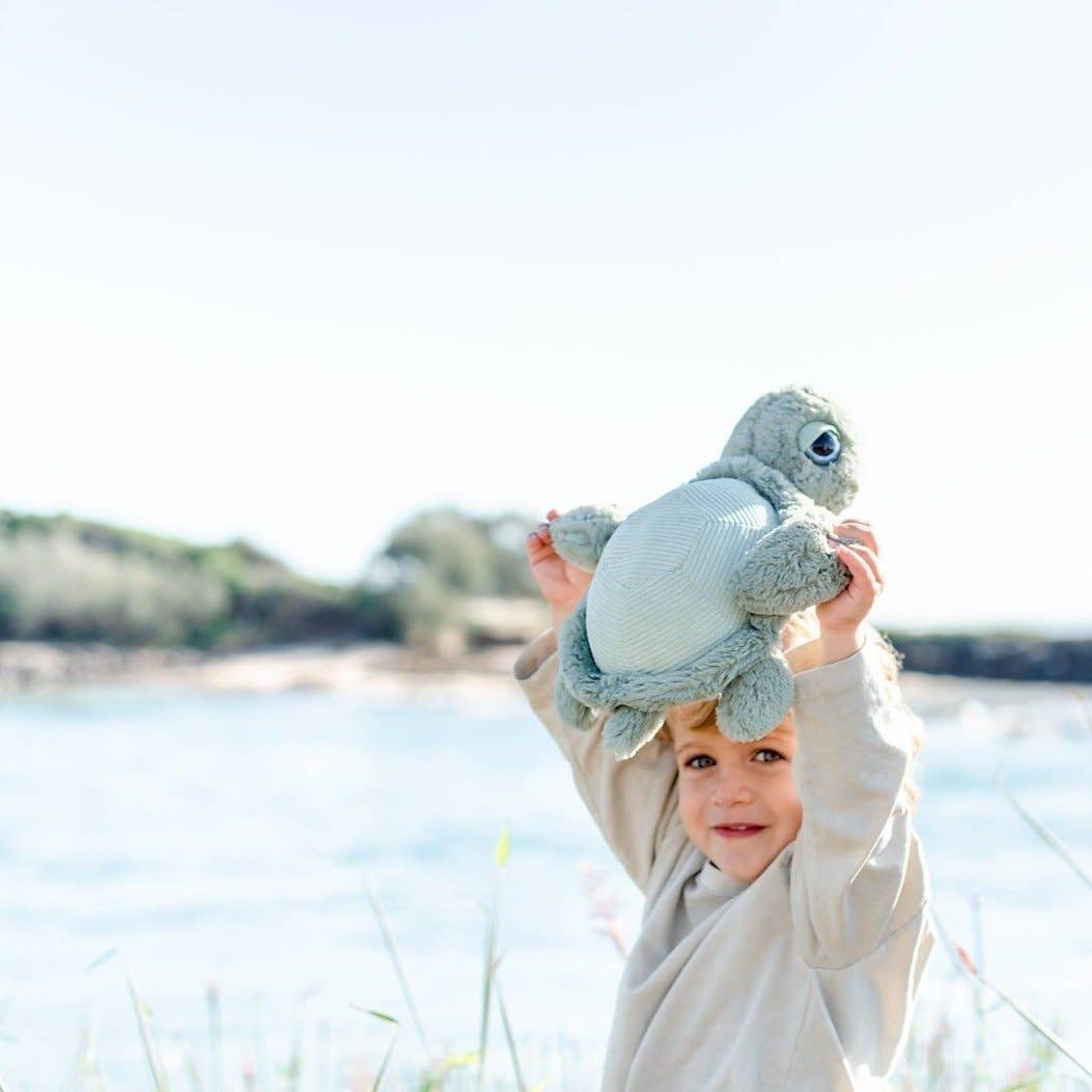 Tyler Turtle Soft toy 13"/33cm