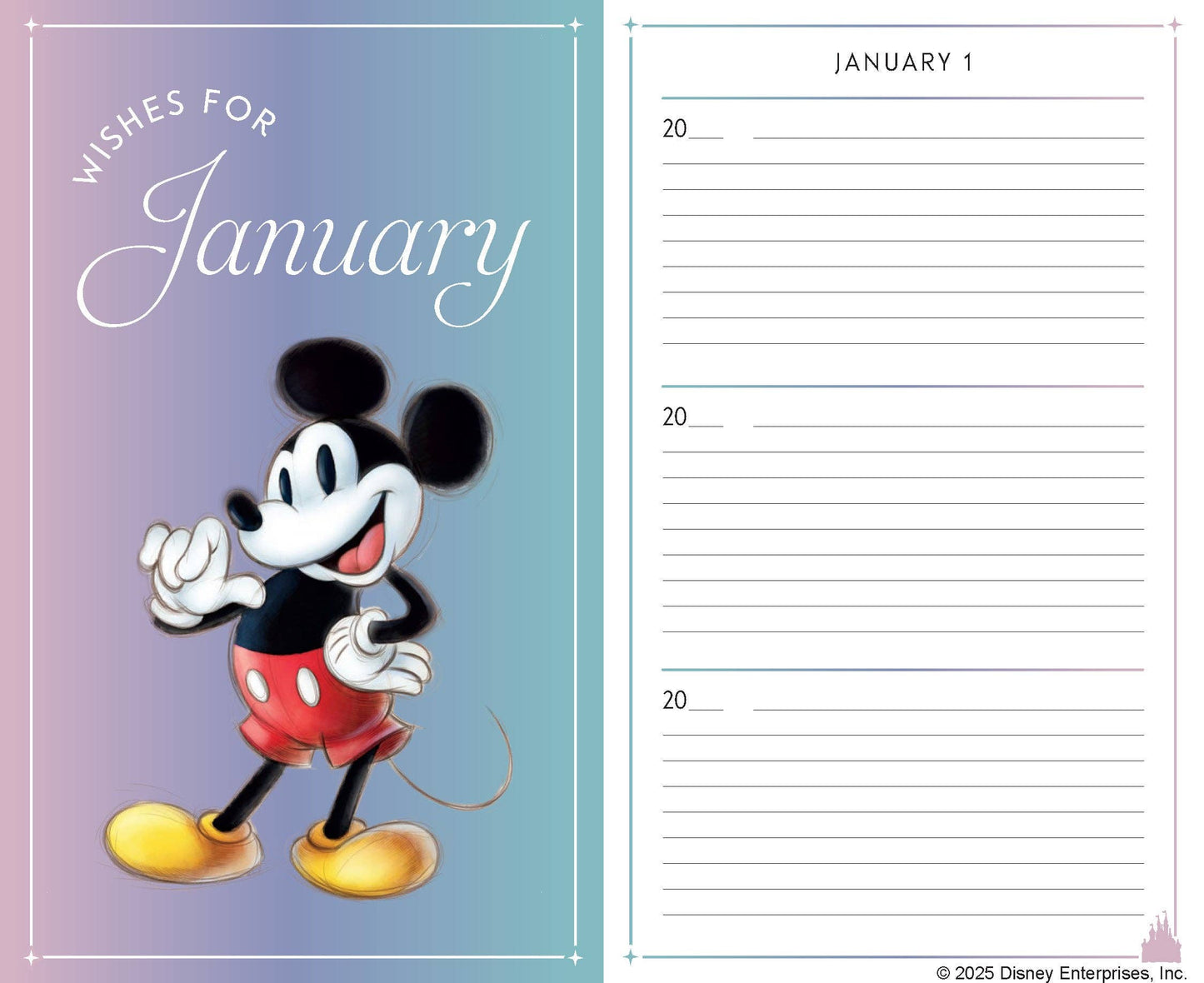 Disney One Wish a Day