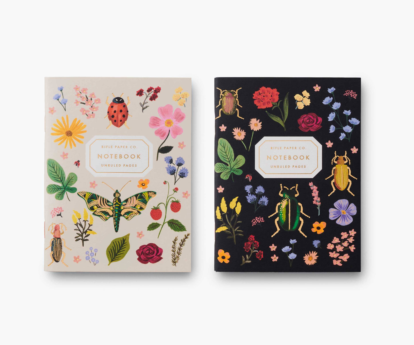 Pair of 2 Curio Pocket Notebooks