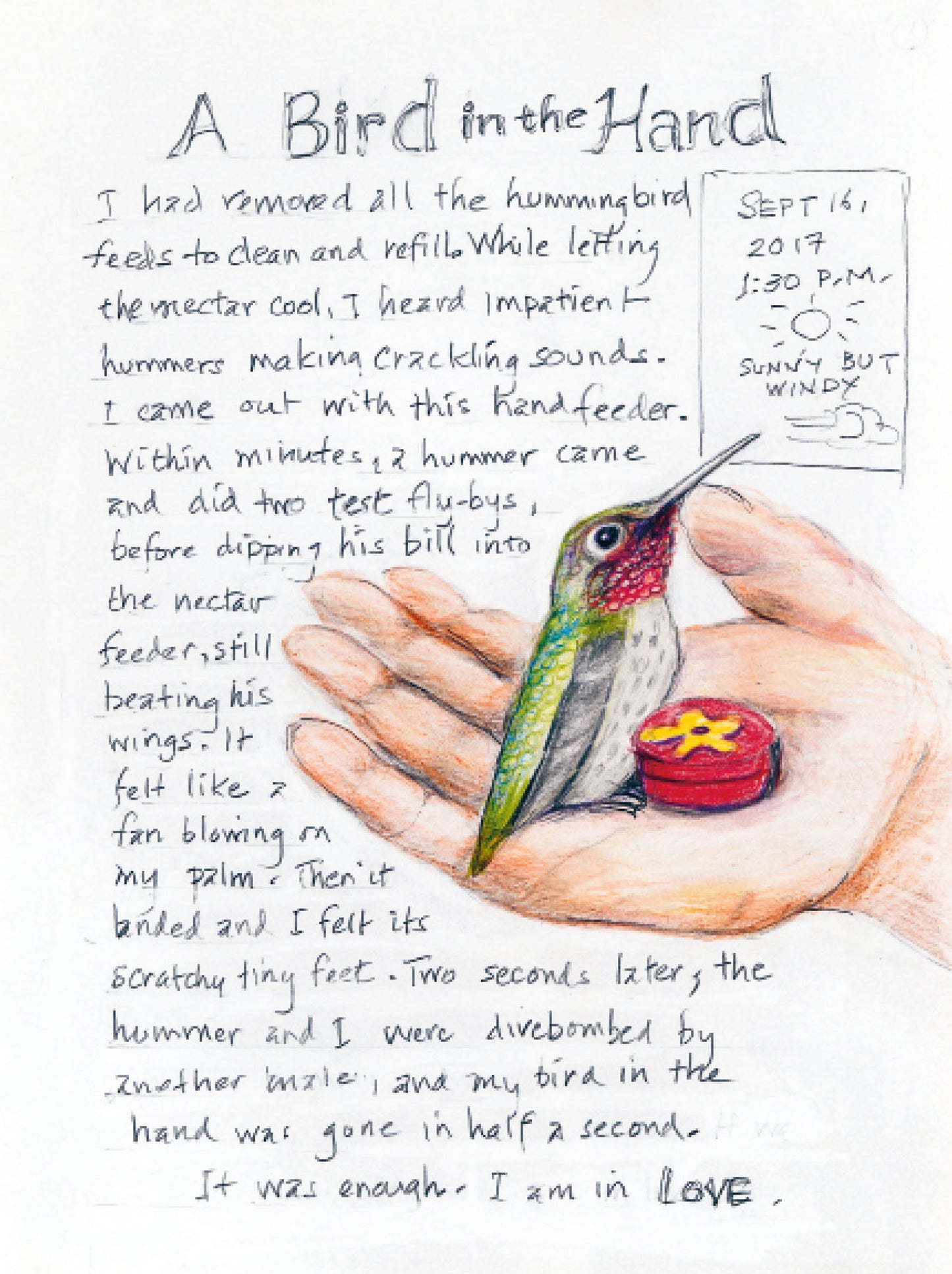 The Backyard Bird Chronicles by Amy Tan