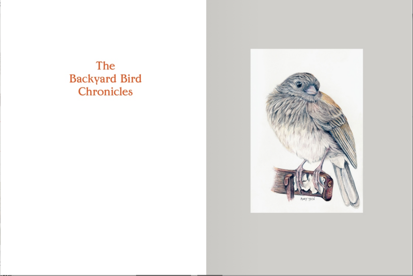 The Backyard Bird Chronicles by Amy Tan