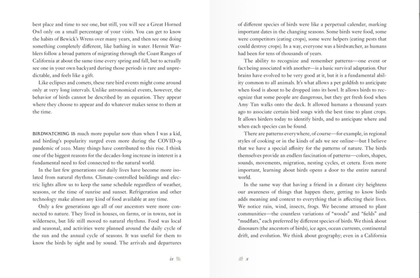 The Backyard Bird Chronicles by Amy Tan