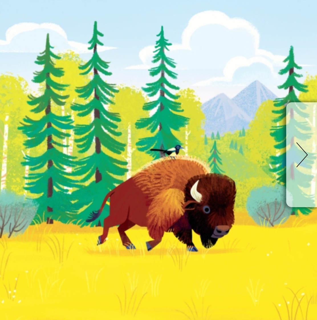 Animals of the National Parks