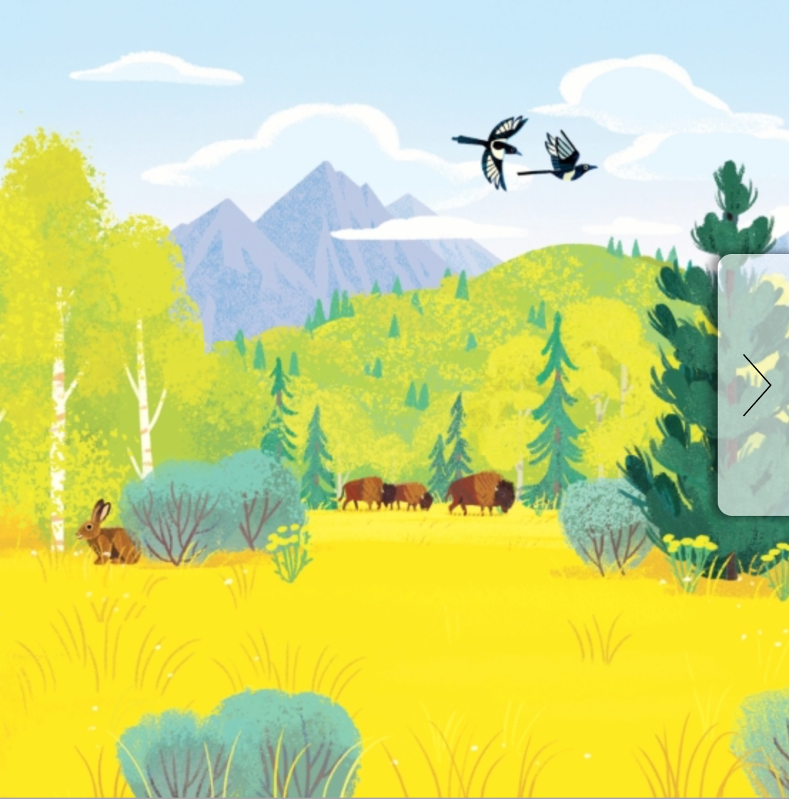 Animals of the National Parks