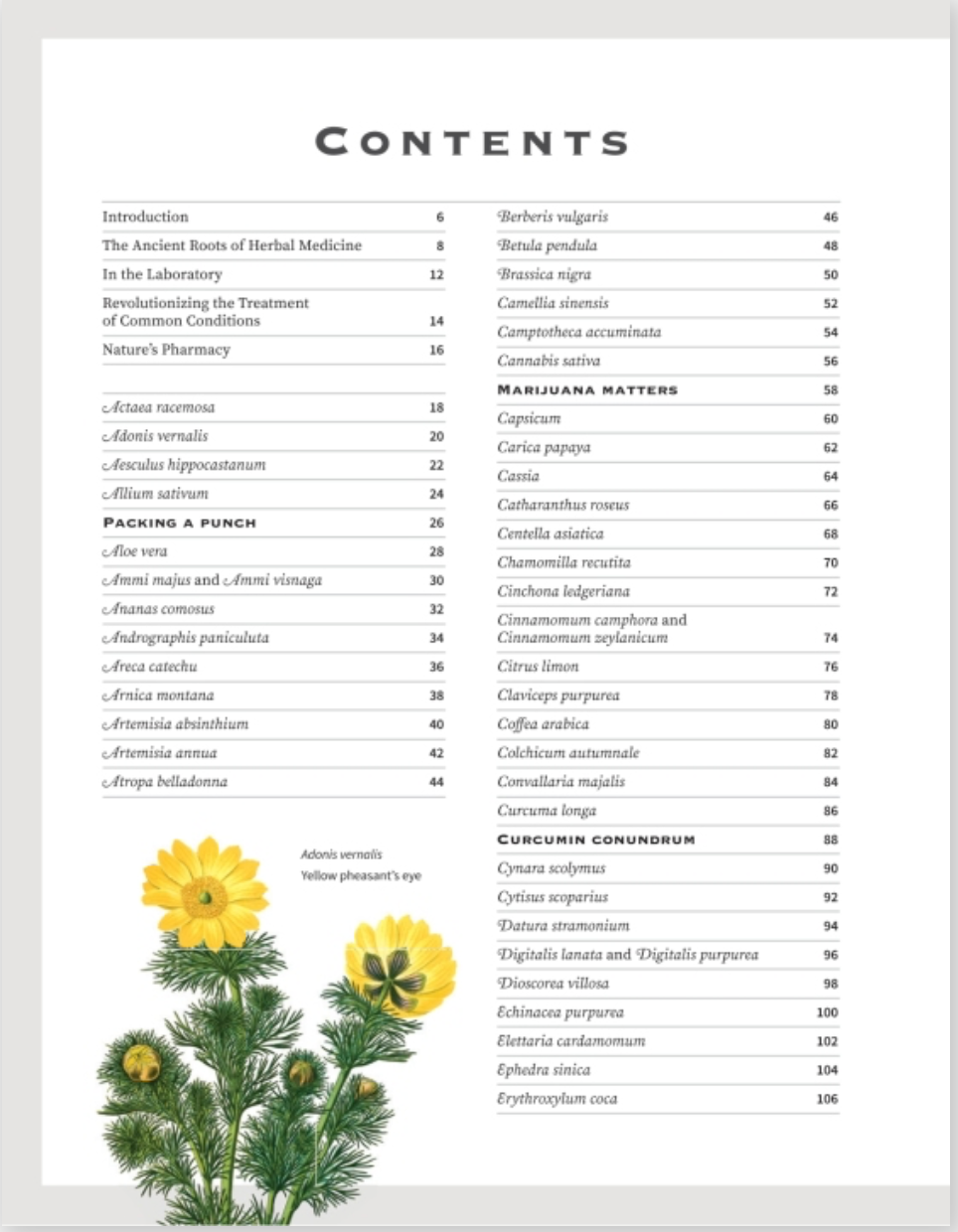 Botanicum Medicinale