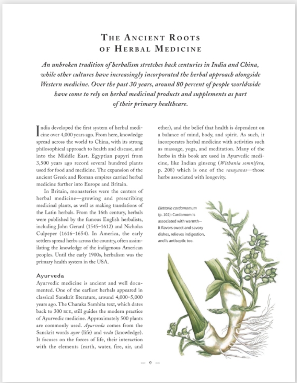 Botanicum Medicinale