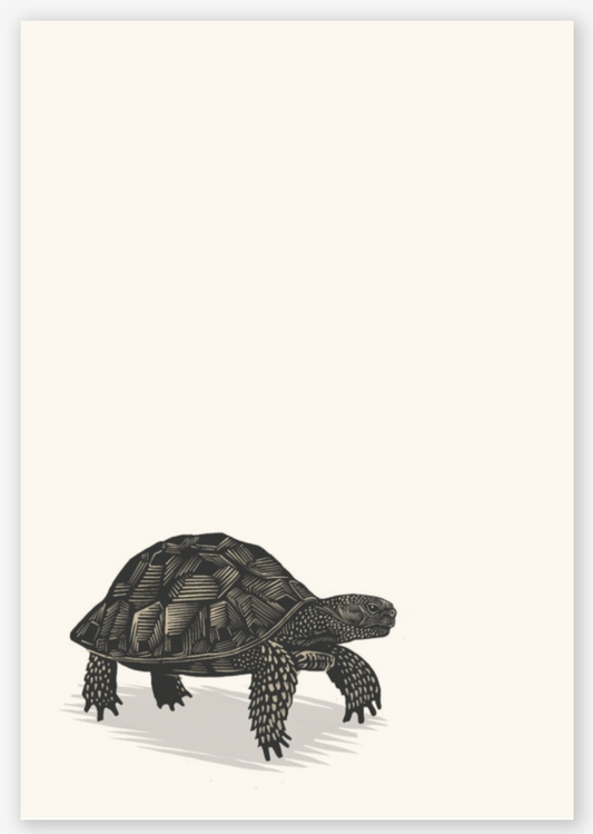 The Illustrated Meditations