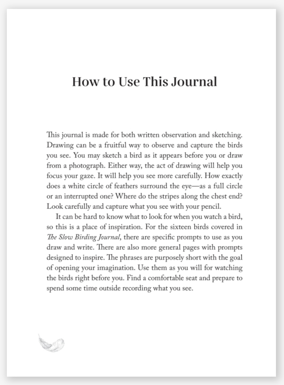 The Slow Birding Journal A Field Diary for Watching Birds Wherever You Are