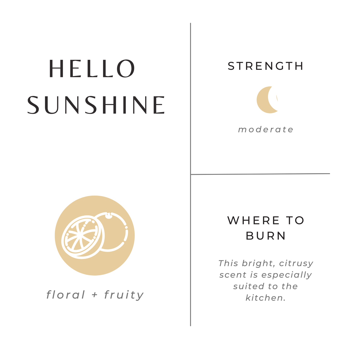 Mini Soy Candles - 2 oz: Orange + Clove