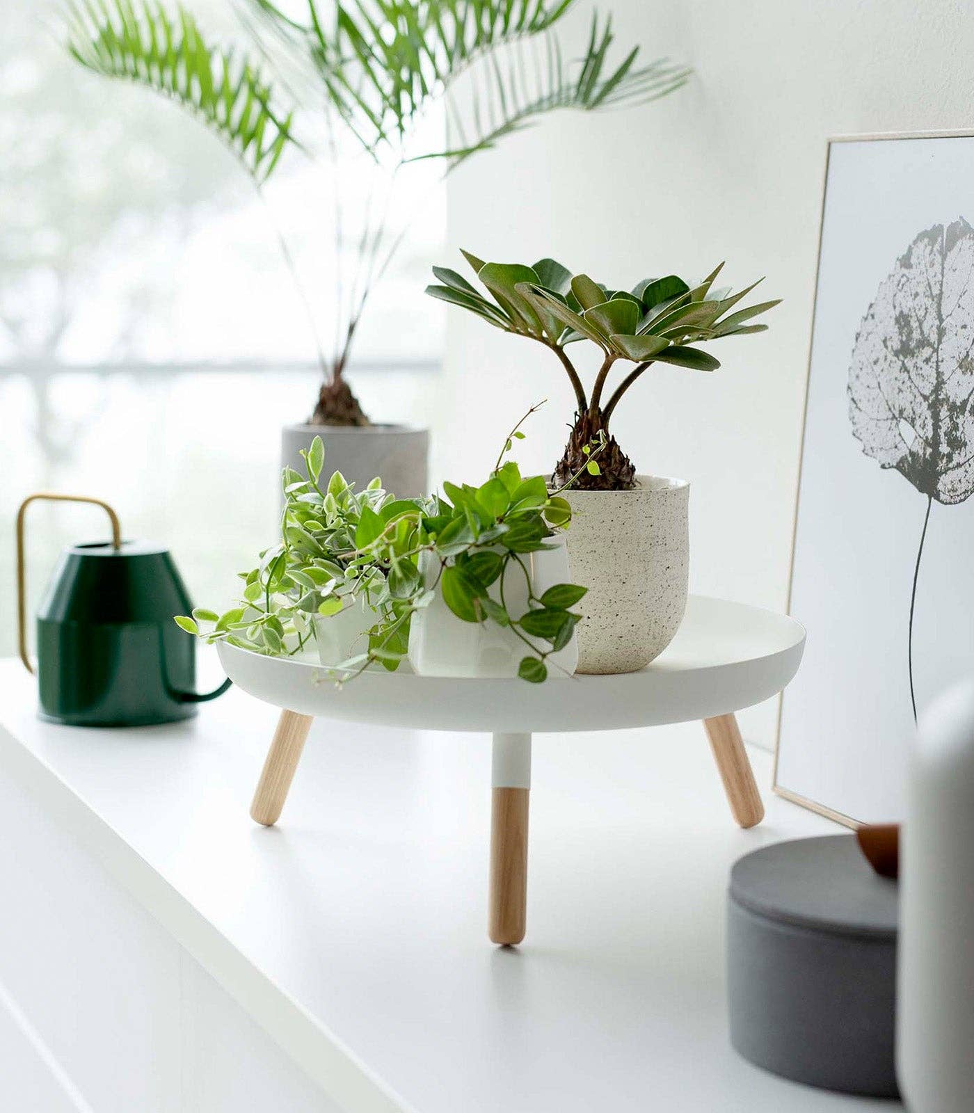 Countertop Pedestal Tray - Steel + Wood: Black