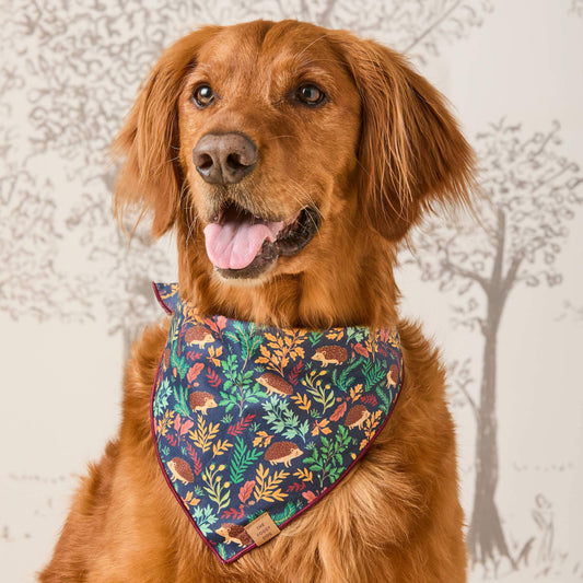 Hedgehog Hollow Dog Bandana Pre-Order