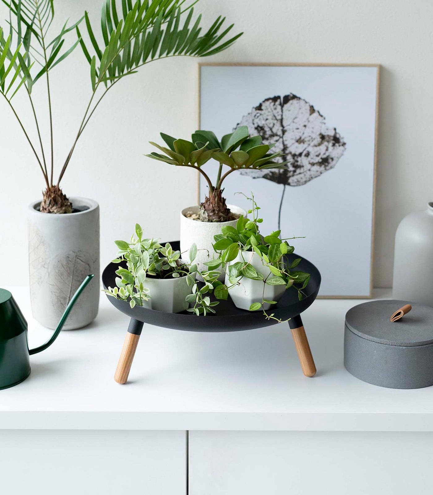 Countertop Pedestal Tray - Steel + Wood: Black