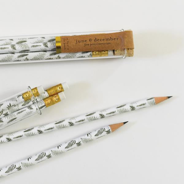 Fern Pencil Terrarium: Set of 5 Pencils