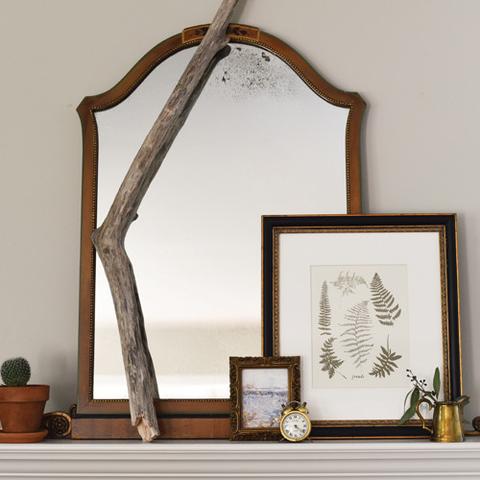 Fronds Art Print