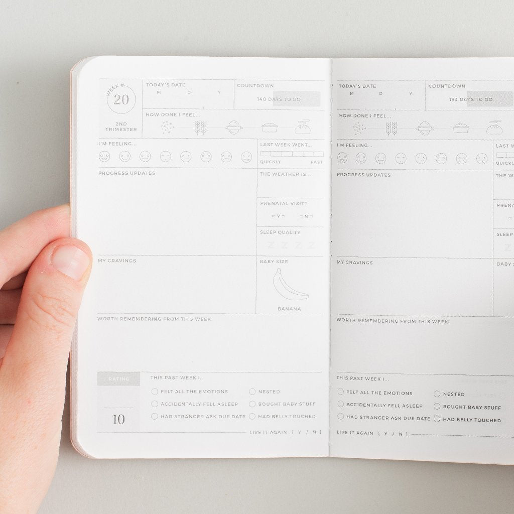 Pregnancy Passport Journal