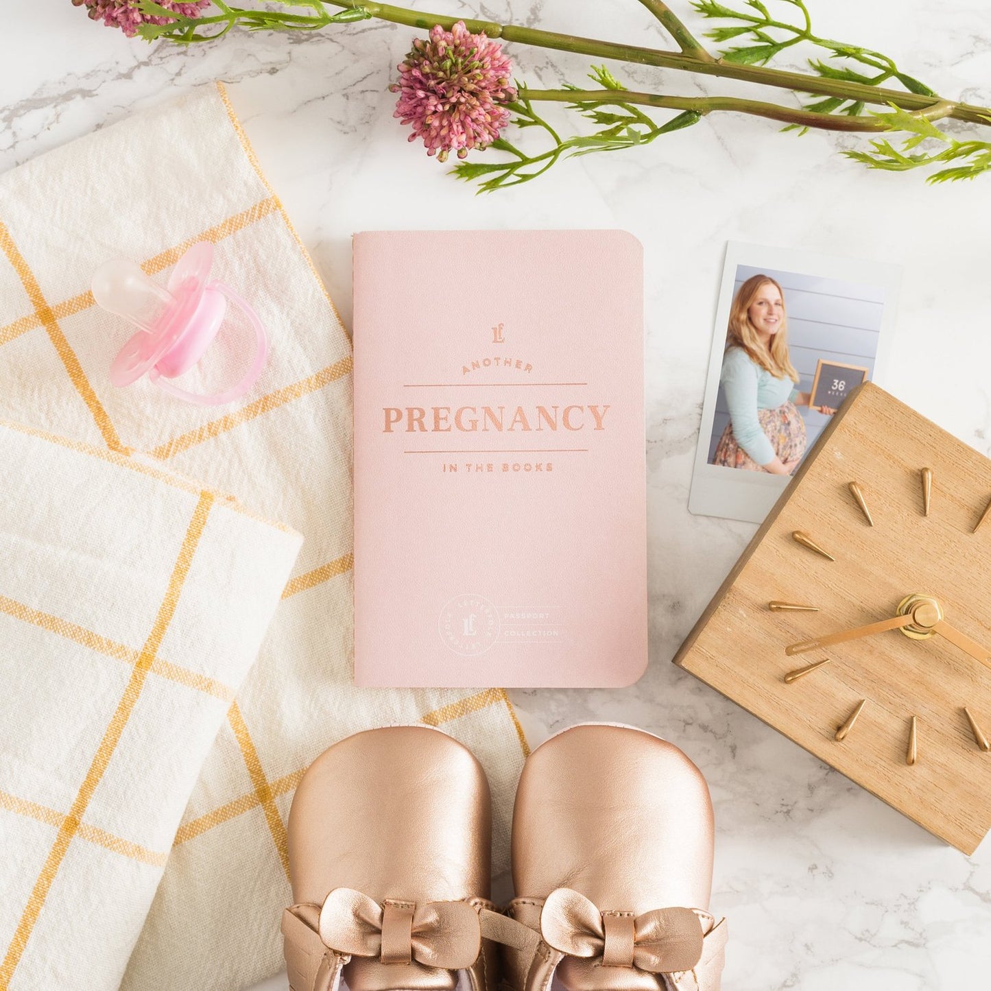 Pregnancy Passport Journal