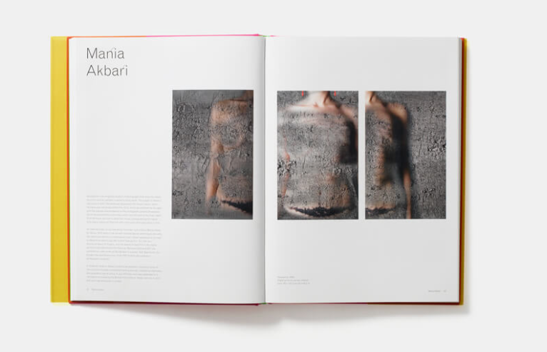 Honar The Afkhami Collection of Modern and Contemporary Iranian Art