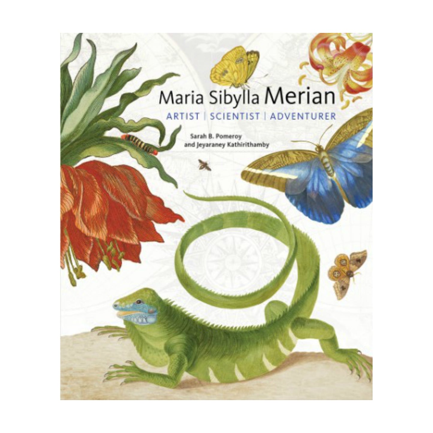 Maria Sibylla Merian