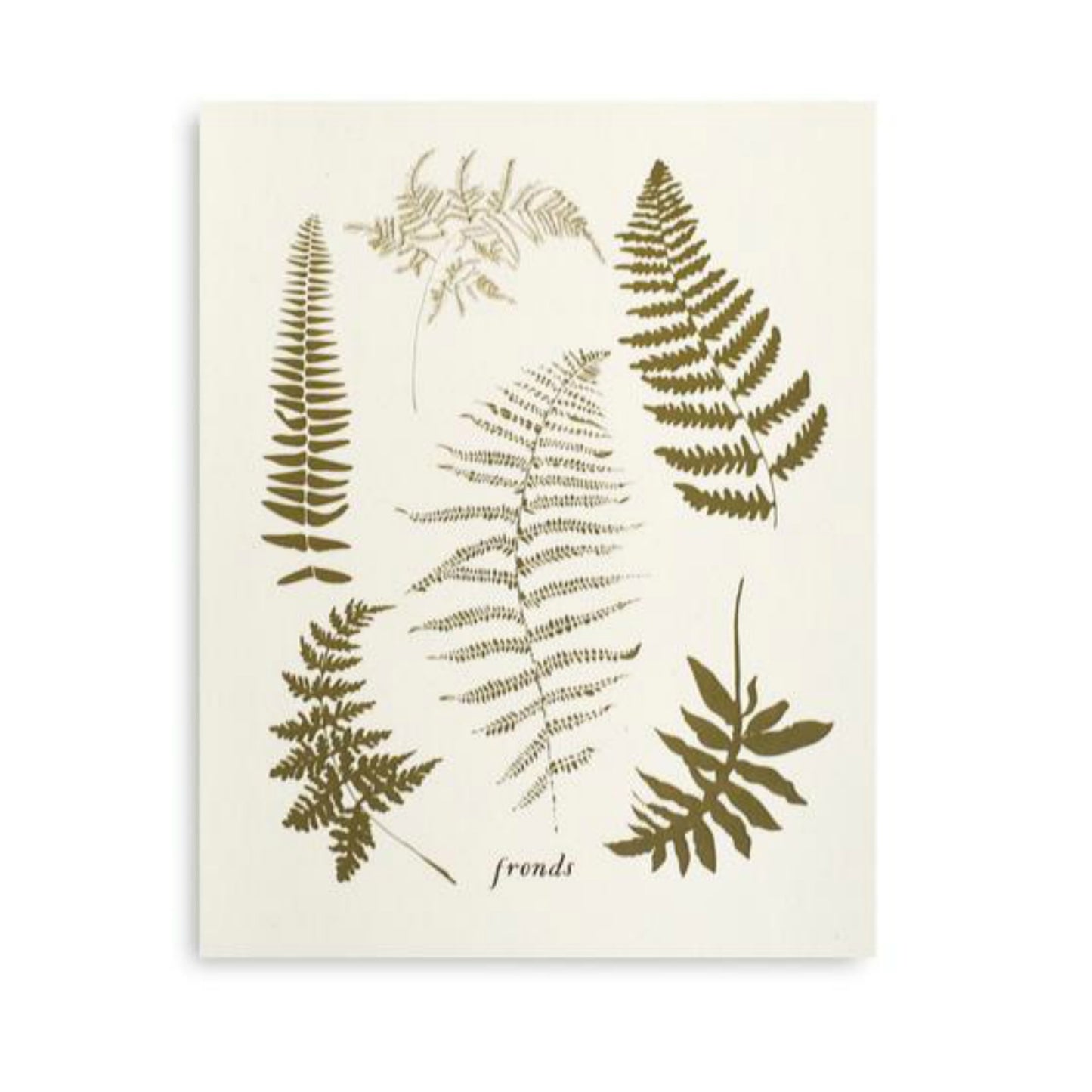 Fronds Art Print